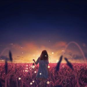 柏芝和冠希视频
